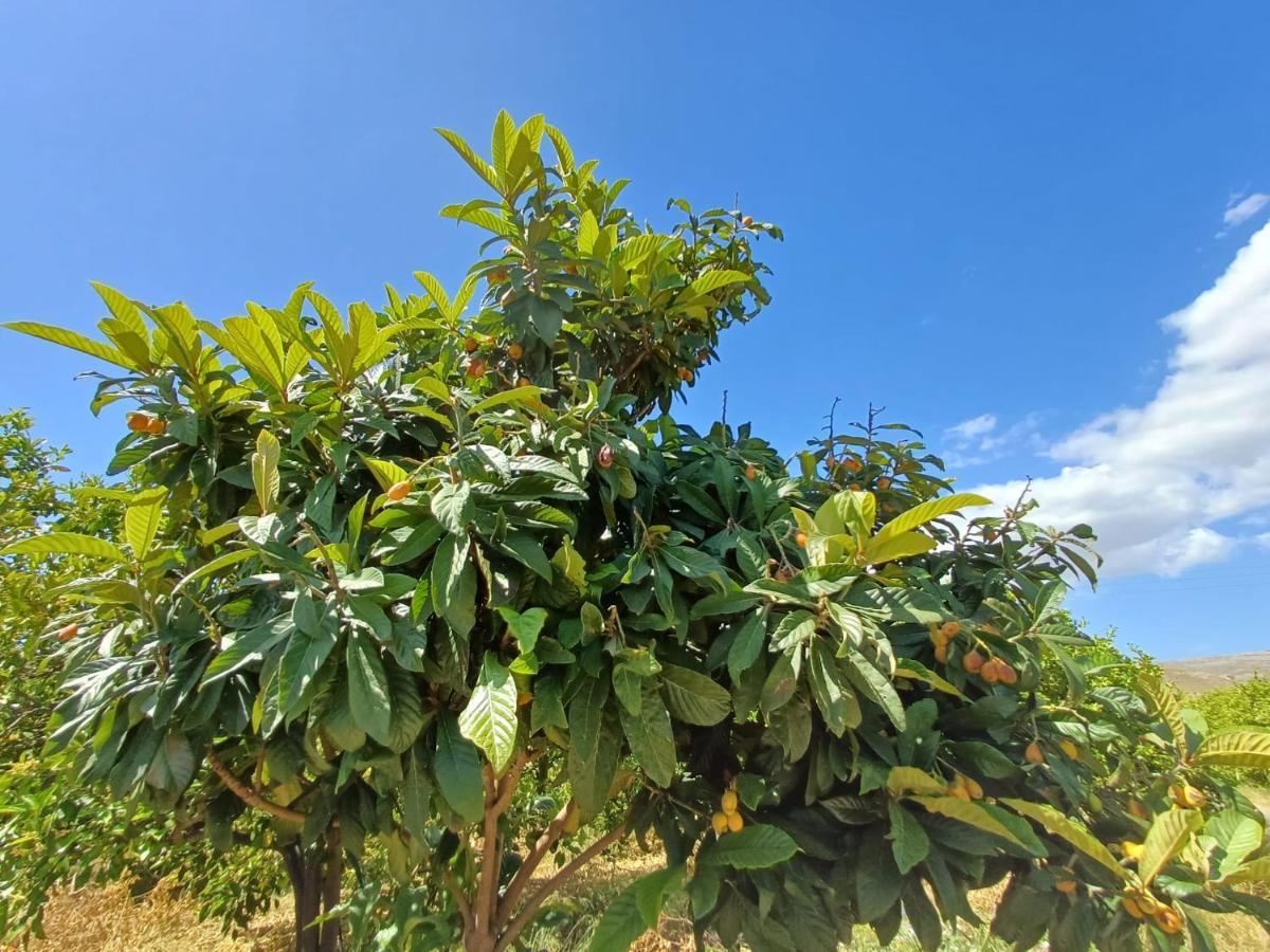 Villa La Virgy per Noto Avola Esterno foto