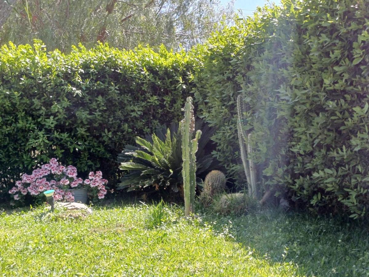 Villa La Virgy per Noto Avola Esterno foto